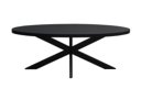 Eetkamertafel Kala Ovaal Spider 210 cm