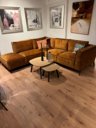 Goudkleure adore gold stof